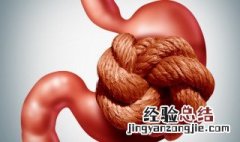 胃火旺怎么调理最好 胃火旺怎么调理