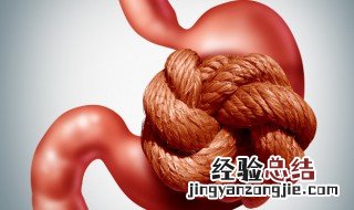 胃火旺怎么调理最好 胃火旺怎么调理