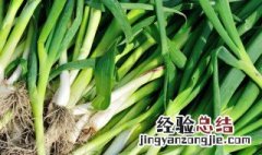 蒜苗怎么做成干菜 蒜苗干制作方法