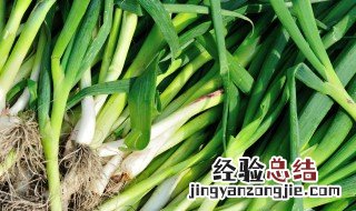 蒜苗怎么做成干菜 蒜苗干制作方法