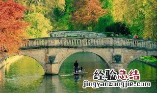 再别康桥中的青荇指的是谁 再别康桥中的青荇是什么意思