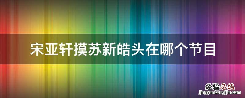 宋亚轩摸苏新皓头是什么节目 宋亚轩摸苏新皓头在哪个节目