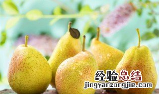 李子梨子酱的制作方法和配料 李子梨子酱的制作方法