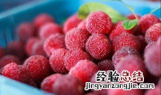 孕妇可以吃杨梅吗 能不能吃多呢