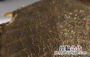 甲鱼壳磨粉的功效与作用 甲鱼壳的功效与作用