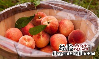 孕妇能吃桃子吗 桃子的功效