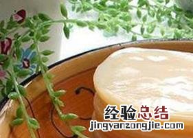 红茶菌的功效与作用 红茶菌的功效