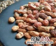 红豆蔻的功效与作用 红豆蔻的功效与作用图片