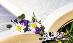 肴馔是什么意思 肴馔解释