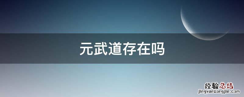 有元武道这个东西吗 元武道存在吗