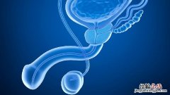 男人怎样自我检查睾丸 男性怎样自检睾丸