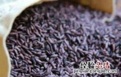 胚芽紫米怎么吃 紫米怎么吃
