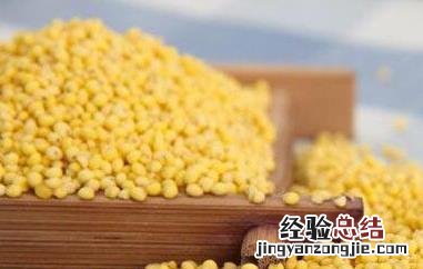 小黄米的功效与作用 大黄米的功效与作用