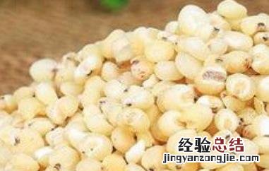 高粱米的功效与作用 高粱米的功效与作用及食用