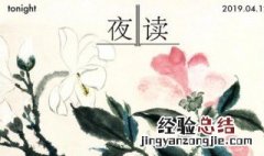 女主叫炎景熙是什么小说 小说概述