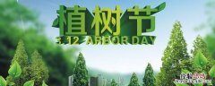 植树节的句子 植树节吉祥语