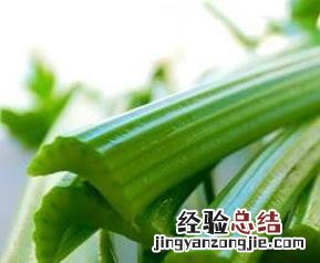芹菜的功效 芹菜的功效与作用禁忌
