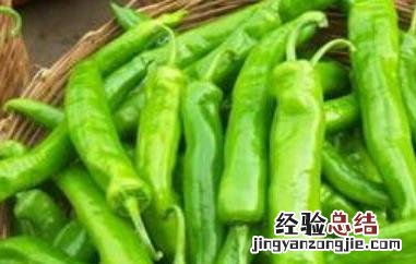 青辣椒如何腌制 青辣椒如何腌