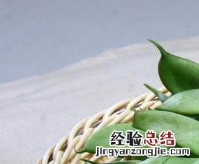 芸豆怎么做好吃法大全 芸豆怎么做