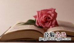 种瓜得瓜是什么意思 种瓜得瓜的意思简述