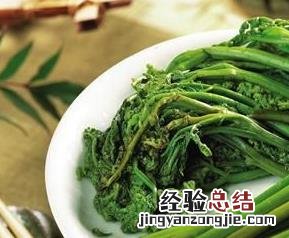 蕨菜的功效与作用及禁忌症 蕨菜的功效与作用