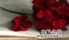 视觉滞留原理是什么意思 视觉滞留原理的简述