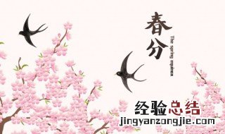 春天的节气特点是什么 春天的节气特点