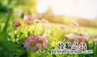 春天的天气有什么特点 春天的天气有什么特点呢