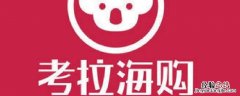 考拉退款是原路返还吗 网易考拉退款是原路退回吗