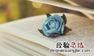 哀鸿遍野中的鸿是什么意思 哀鸿遍野的含义