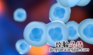 生物上讲的杂交是什么意思 生物上讲的杂交解释