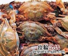 三疣梭子蟹吃什么海鲜 三疣梭子蟹如何吃
