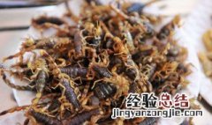 蝎子养殖技术 蝎子的生理特性