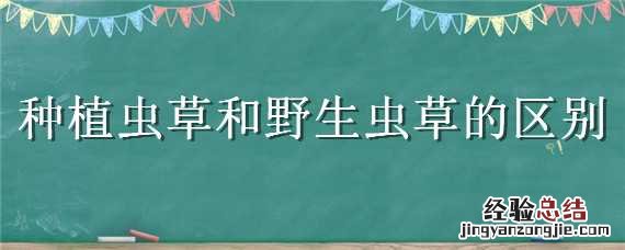种植虫草和野生虫草的区别是什么 种植虫草和野生虫草的区别