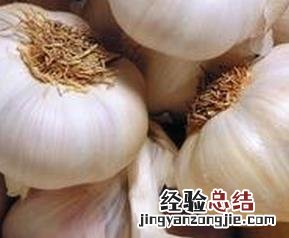 大蒜发芽以后能吃吗 大蒜发芽以后能吃吗有毒吗
