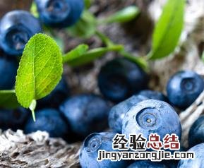 紫色食物抗氧化 紫色食品防癌抗衰老