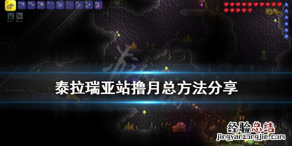 泰拉瑞亚月总怎么站撸 泰拉瑞亚月总技巧