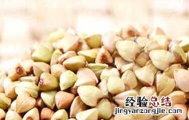 荞麦的功效与作用及营养价值 荞麦的功效与作用及营养价值和禁忌