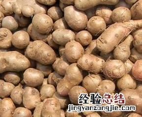吃山药豆的好处有哪些 吃山药豆都有哪些好处