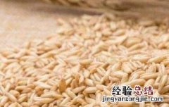 燕麦粒的功效与作用 燕麦粒的功效与作用及禁忌