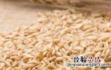 燕麦粒的功效与作用 燕麦粒的功效与作用及禁忌