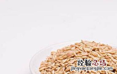 燕麦粒的功效与作用 燕麦粒的功效与作用及禁忌