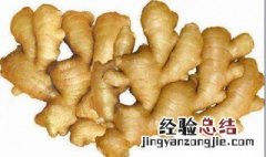 冬天吃姜有什么讲究 冬天吃姜有什么讲究嘛