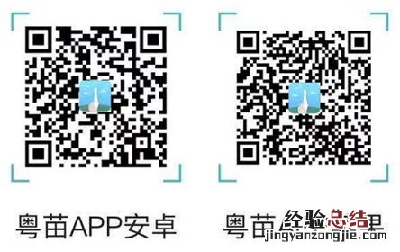 揭阳市宫颈癌hpv疫苗粤苗APP预约操作指引