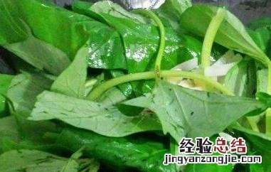 红薯叶的功效与作用及食用方法 红薯叶的功效与作用及食用方法及禁忌