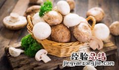 辣酱炒蘑菇如何做 辣酱炒蘑菇如何做好吃