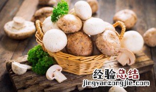 辣酱炒蘑菇如何做 辣酱炒蘑菇如何做好吃
