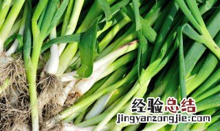蒜炒牛蹄筋如何做 蒜烧牛蹄筋的做法大全