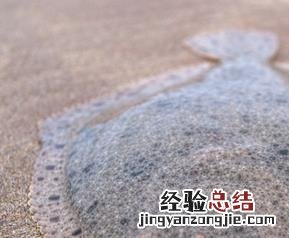 大菱鲆图片 大菱鲆结构