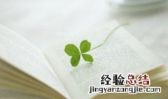 心灵至福是什么意思 心灵至福的意思